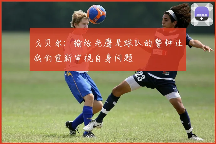 戈贝尔：输给老鹰是球队的警钟让我们重新审视自身问题