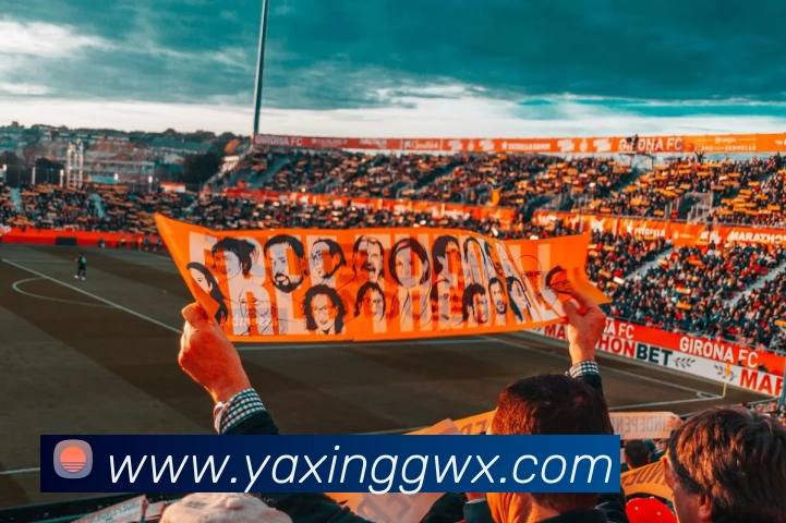 亚星官网APP 封面图